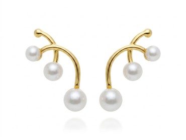 Pendientes de plata con perlas trepadores. YI