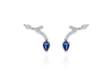 Earrings   in 18kt white Gold