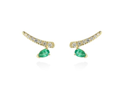 Earrings   in 18kt yellow Gold and diamonds