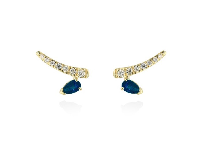Earrings   in 18kt yellow Gold and diamonds