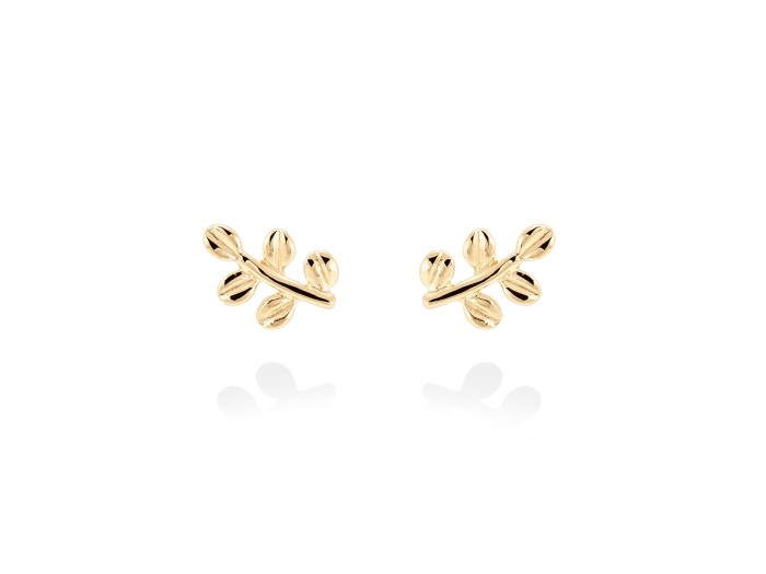 Earrings   in 18kt yellow Gold
