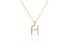 Necklace in 18kt. Gold