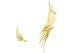Climber Earring Line maxi  in golden silver