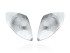 Earrings ST. TROPEZ  in silver