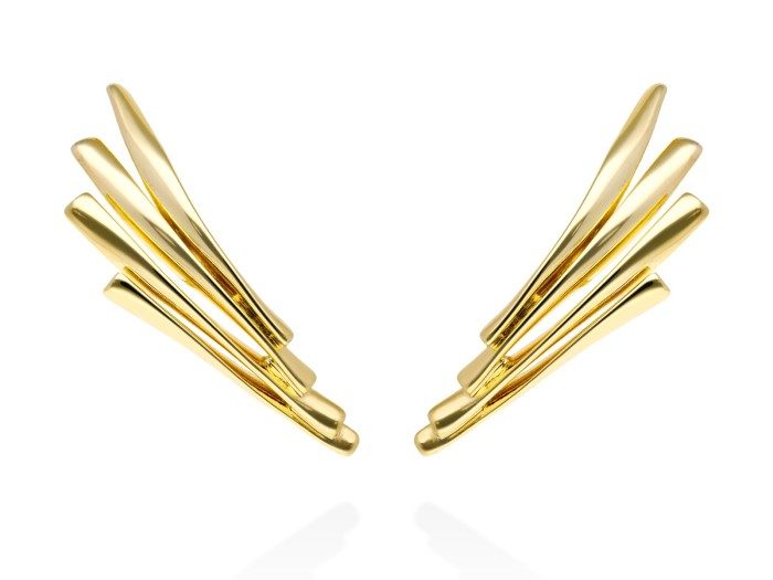 Pendientes de plata trepador