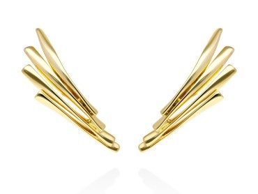 Pendientes de plata trepador