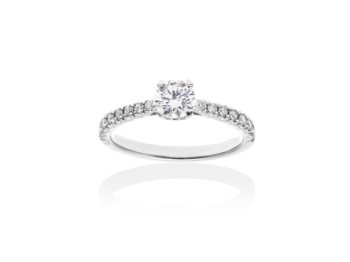Anillo en oro blanco